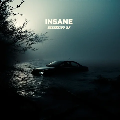 Обложка «Insane»
