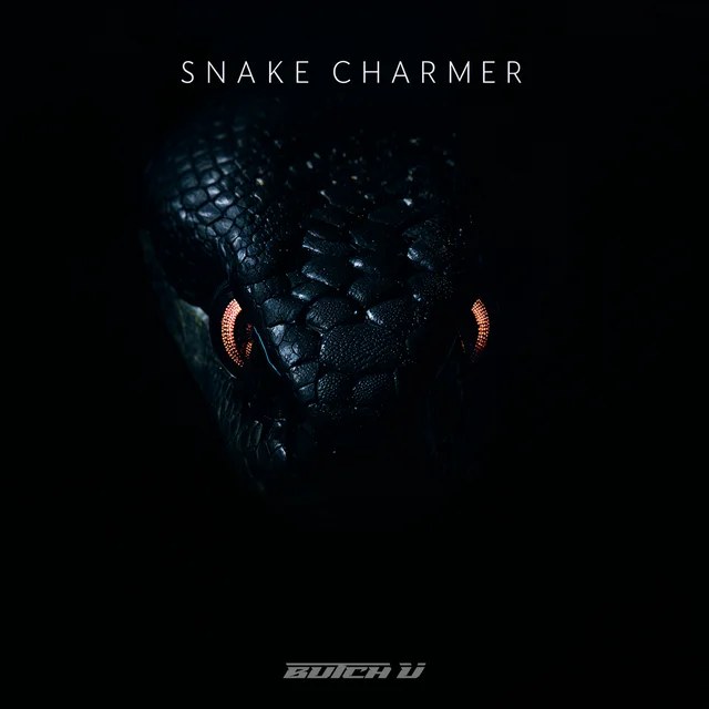 Обложка Snake Charmer