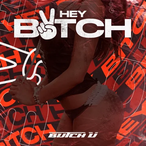 Обложка «Hey Bitch»