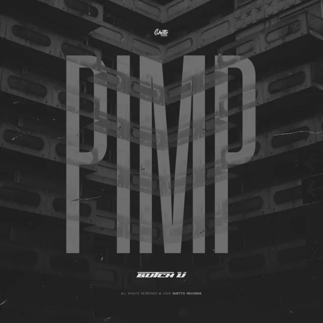 Cover P.I.M.P.