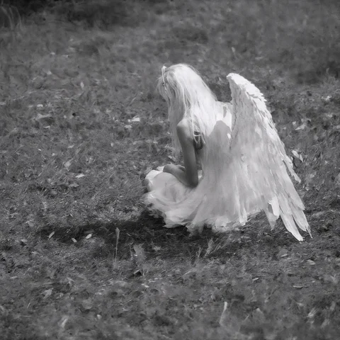 Обложка «Crying Angels»