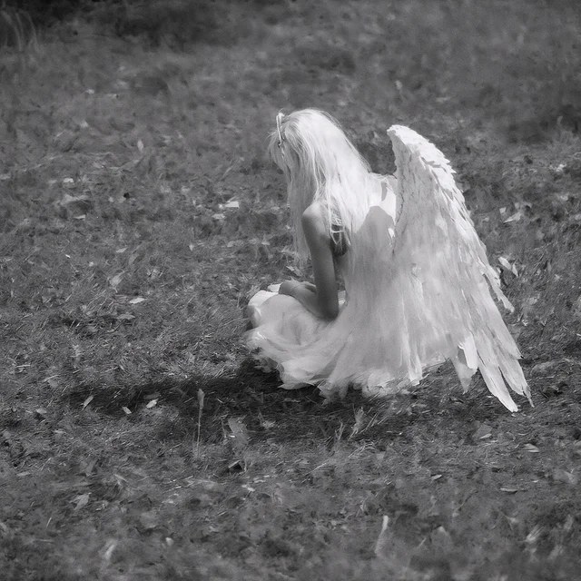 Обложка Crying Angels