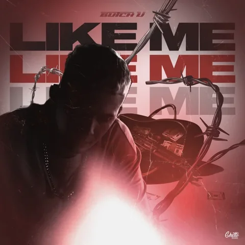 Обложка «Like Me»