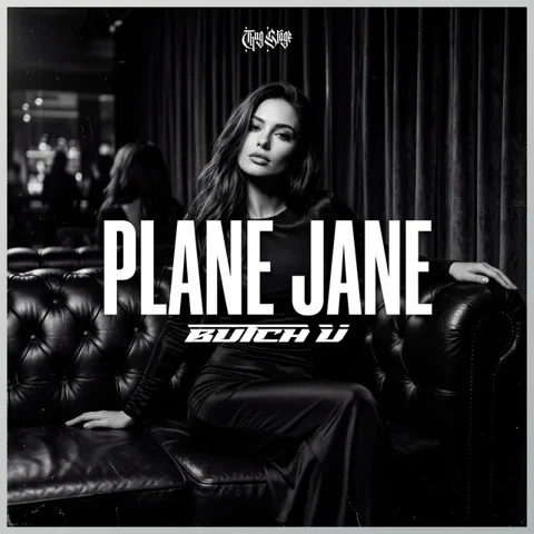 Обложка «Plane Jane»