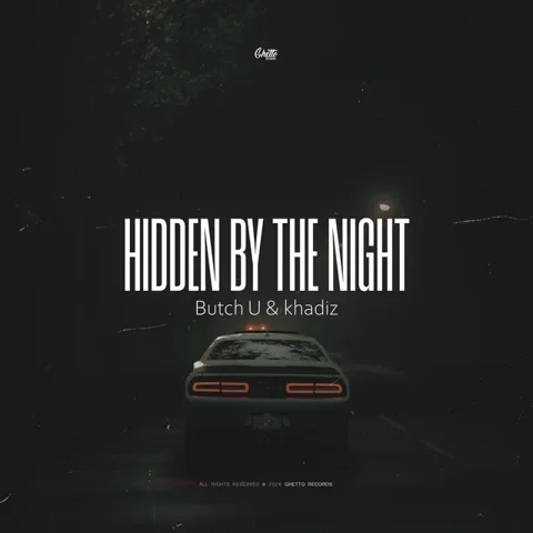 Обложка «Hidden by the Night»