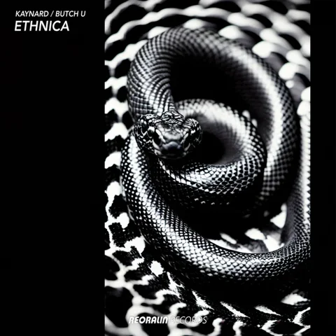 Обложка «Ethnica»