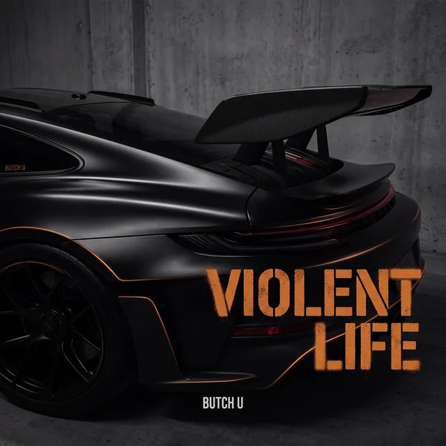 Обложка Violent Life
